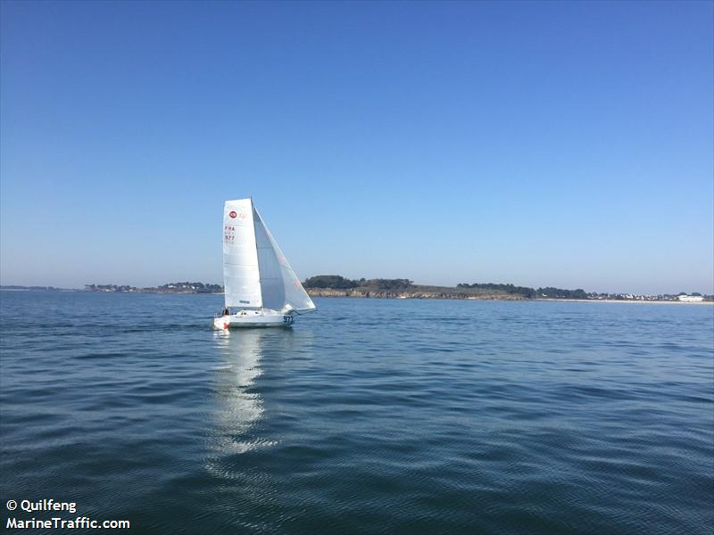 YO TOP - SOLO SAILOR
