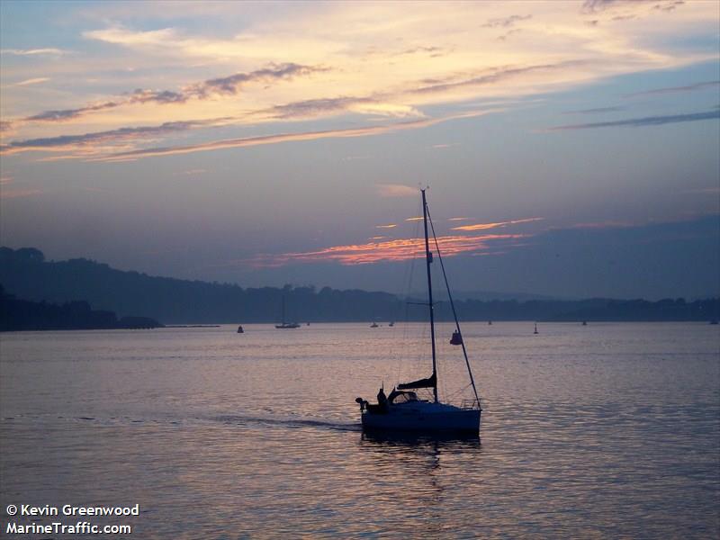 WILD BLUE OF BOSHAM