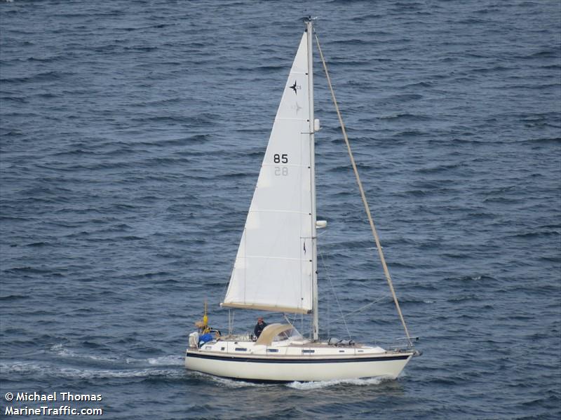 SEA ROSE