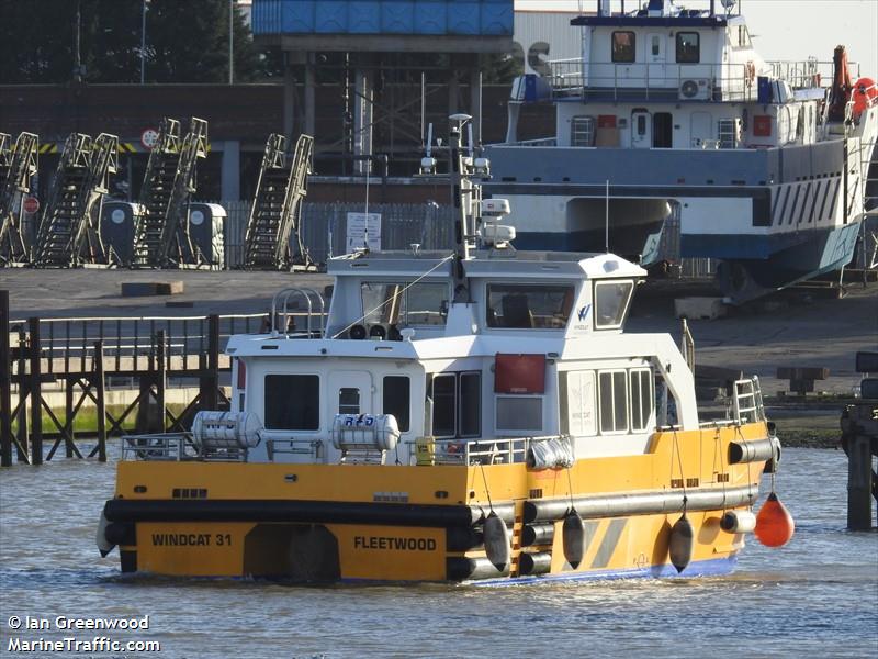 WINDCAT 31