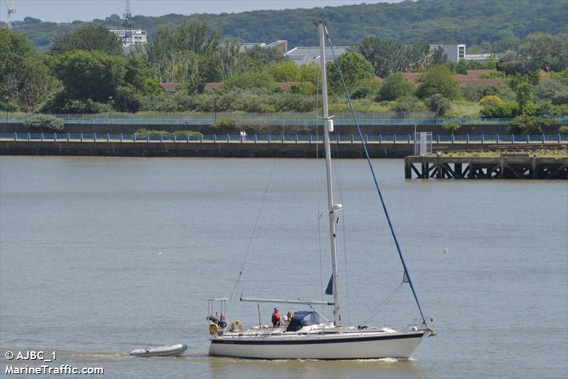 BELUGA OF CHATHAM
