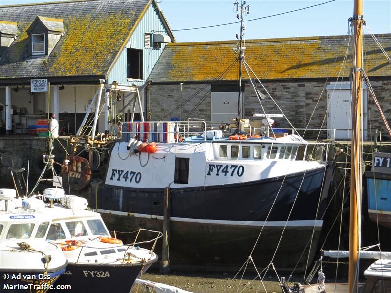 IMOGEN FY470
