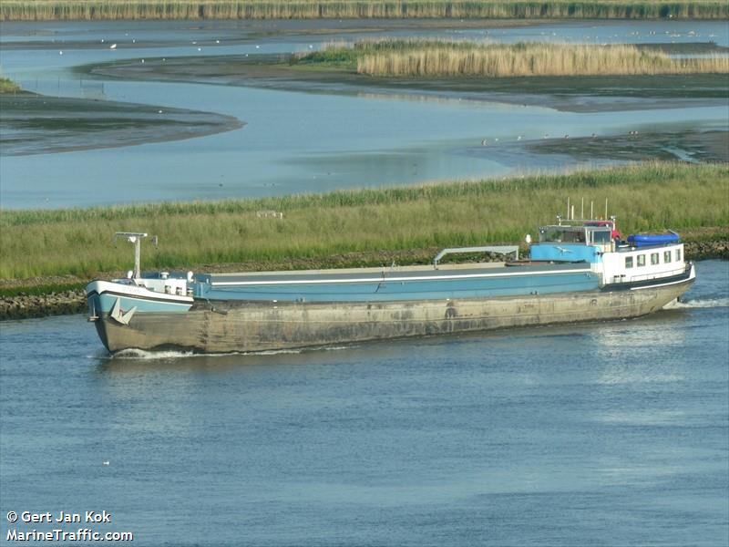 STERN