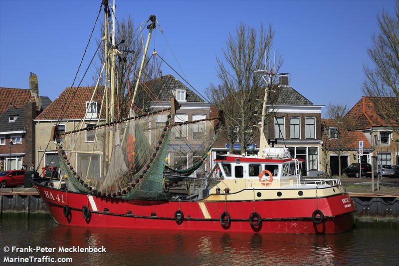 HA41 ANTJE