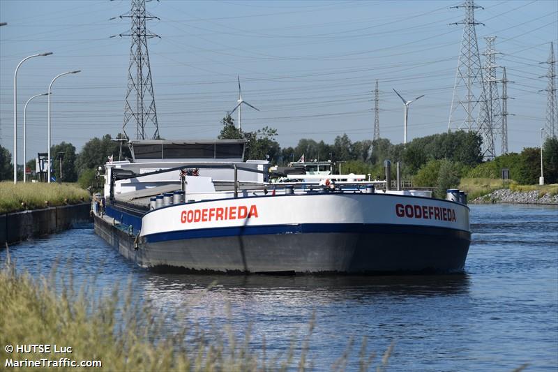GODEFRIEDA