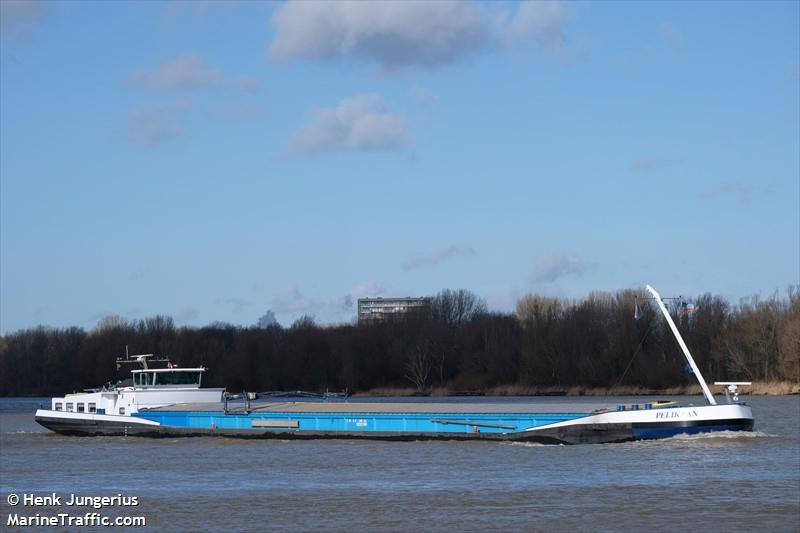 PELIKAAN