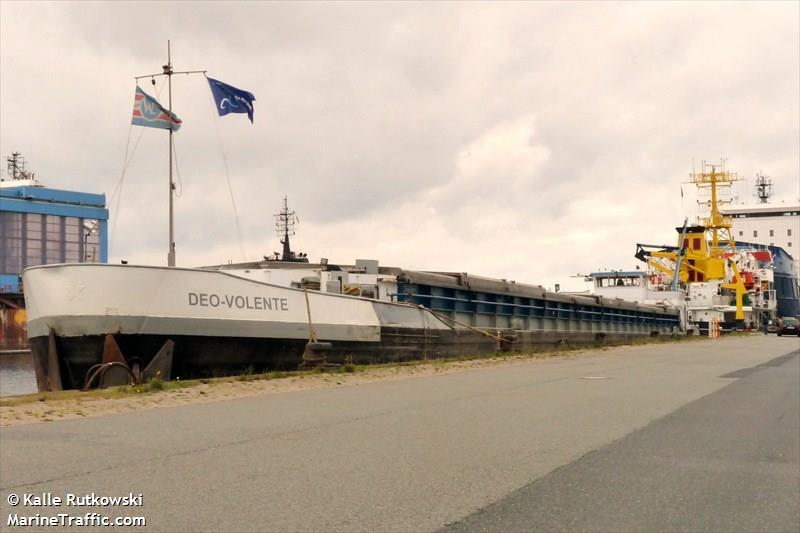 BLAUWE KREEFT