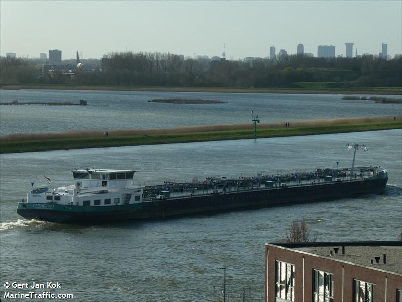 HARINGVLIET