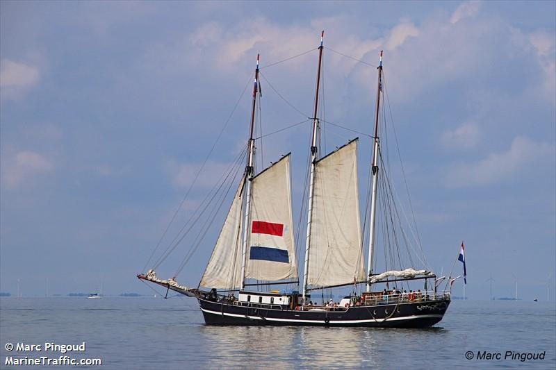 VRIJHEID