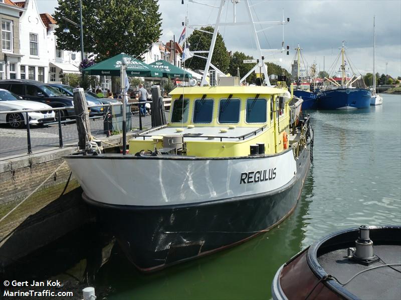 REGULUS