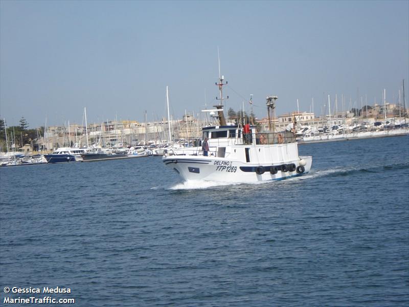 DELFINO II