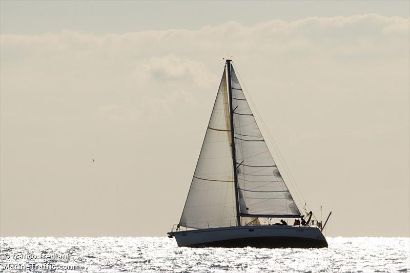 LOBO DE MAR