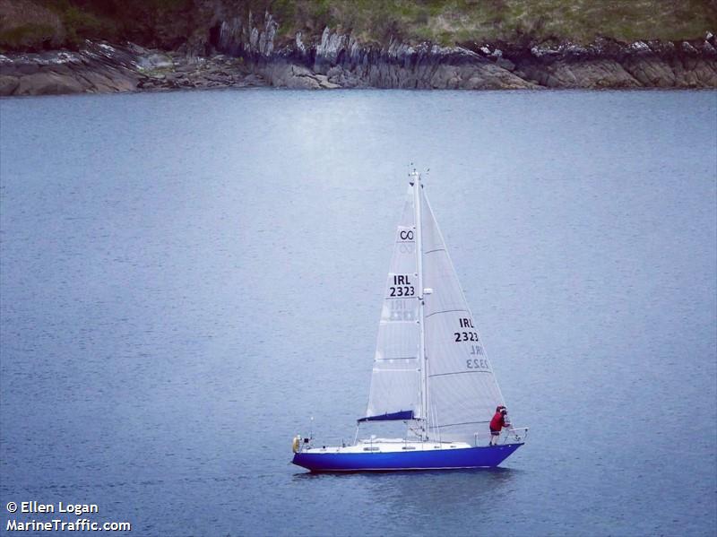 SOLO SAILOR SITTELLE