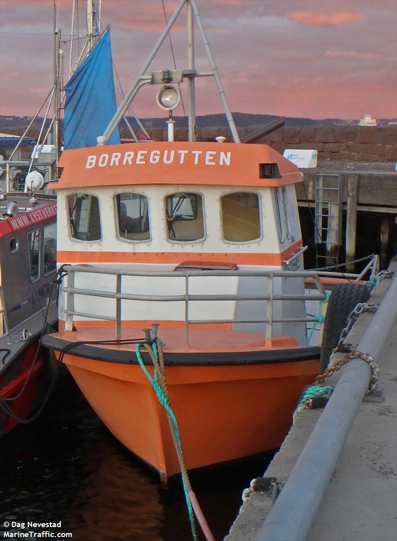 BORREGUTTEN