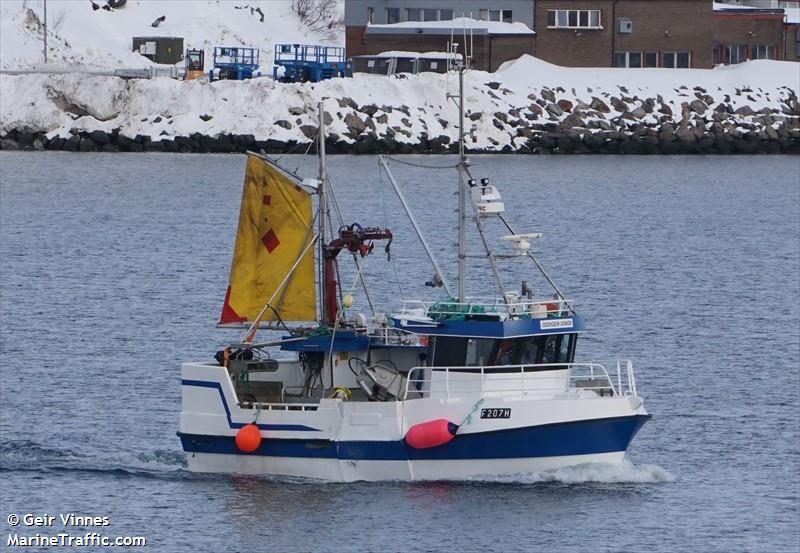 ODDGEIR JUNIOR