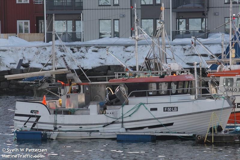 SVAVIK