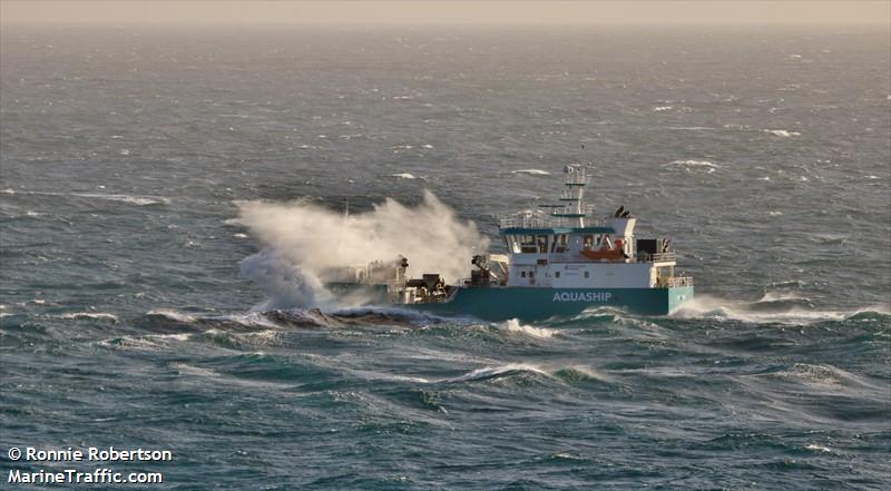 AQUA VIKING