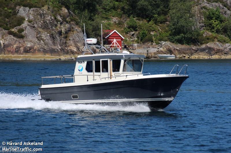 FROY VIKING