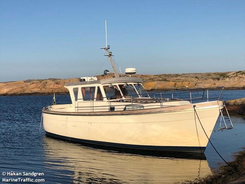 ANGELICA II