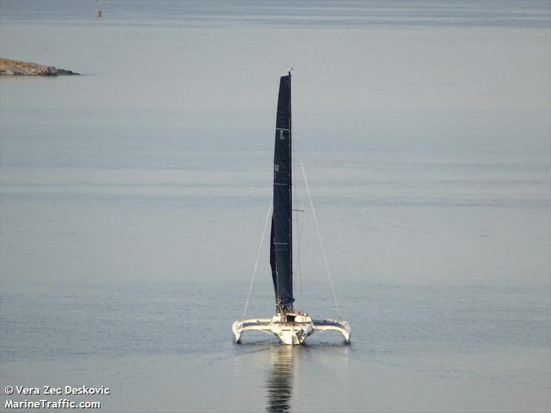 CARBON TIGER