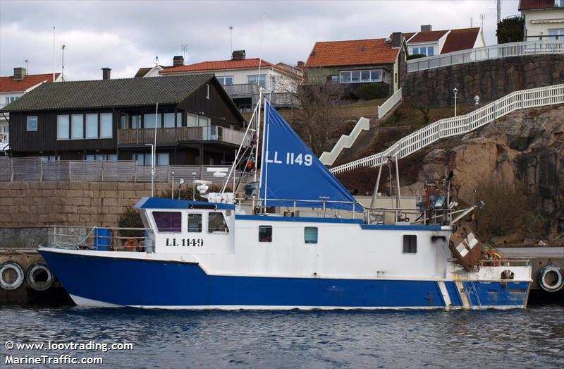 LL1149 HERRING