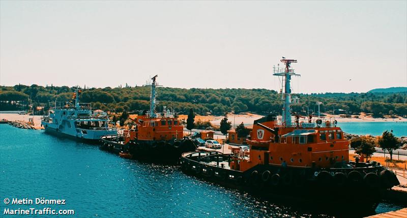 GOLOVASI