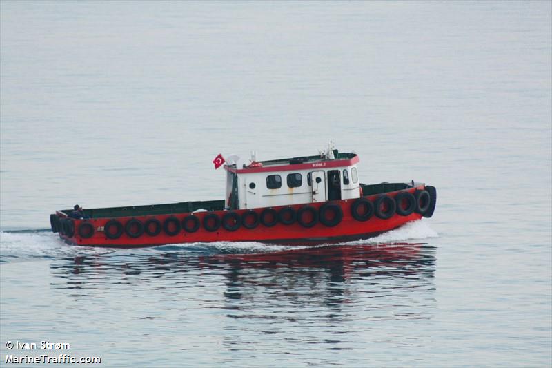 DELFIN-7
