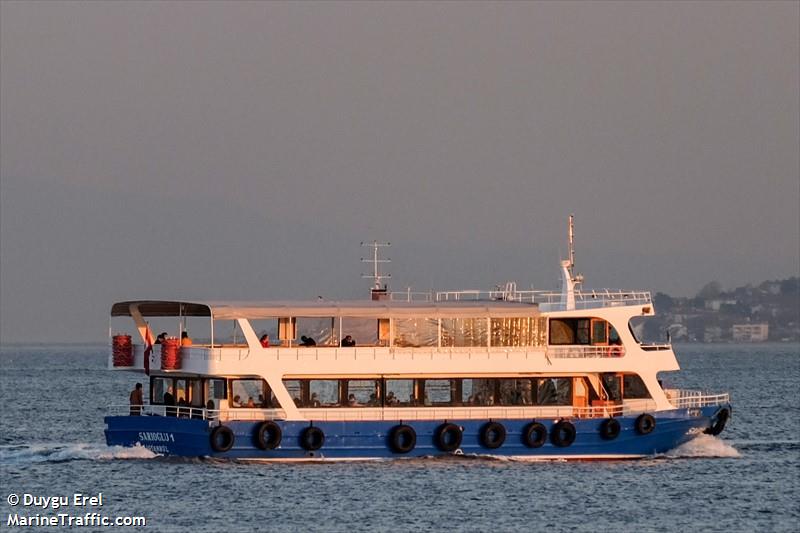 SARIOGLU-I