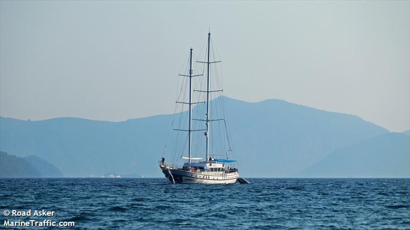 SARAYLI-1