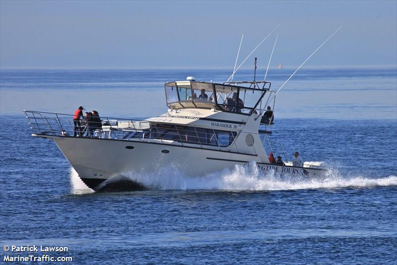 MARAUDER IV