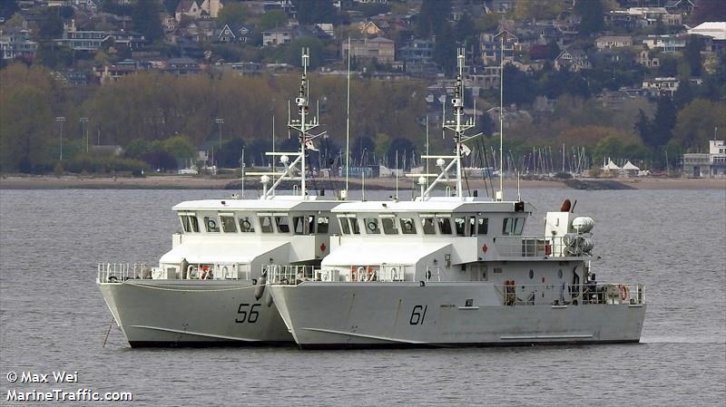 COUGAR 61