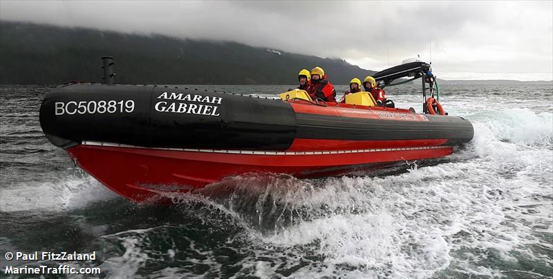RCM-SAR 25