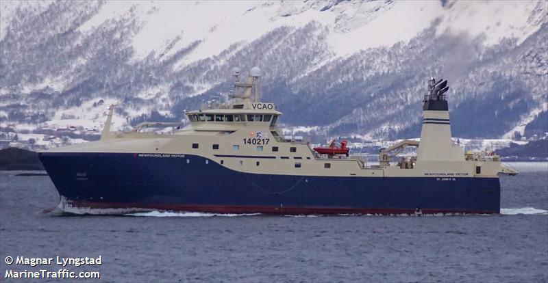 'NEWFOUNDLAND VICTOR'
