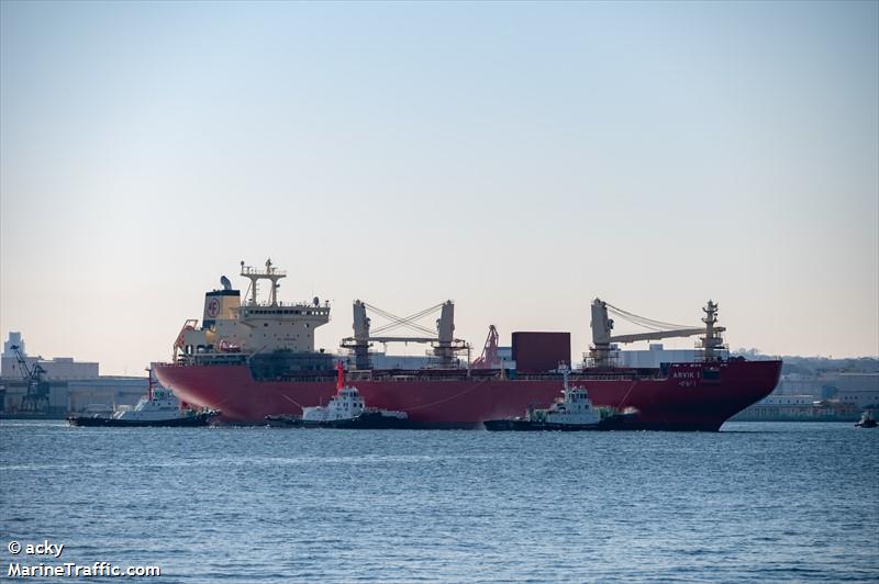 ARVIK I