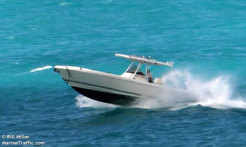 DREAM TENDER