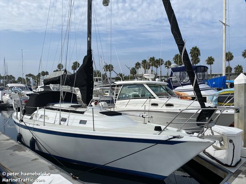 338108551