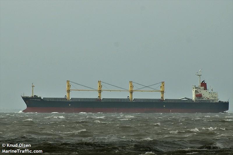 Selat Goodman