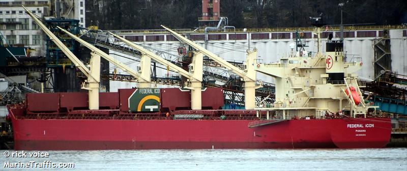 FEDERAL ICON