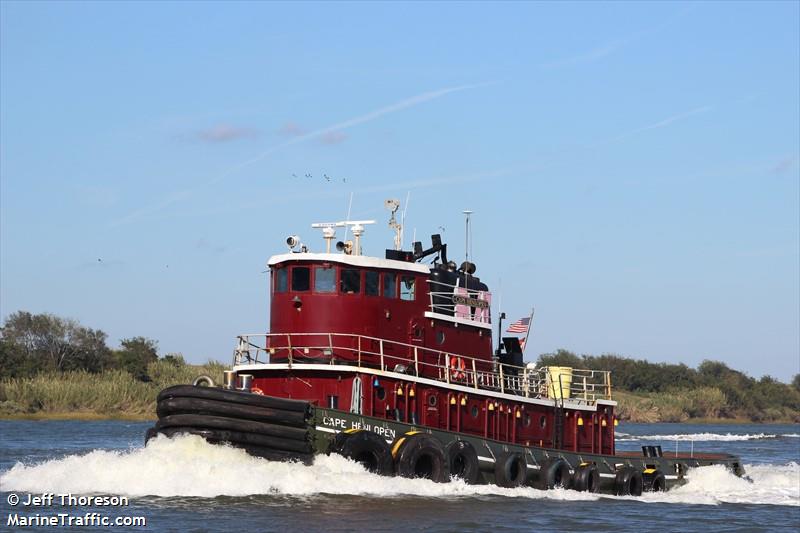 CAPE HENLOPEN