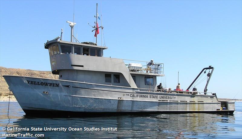 YELLOWFIN