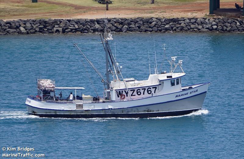 MARINE STAR