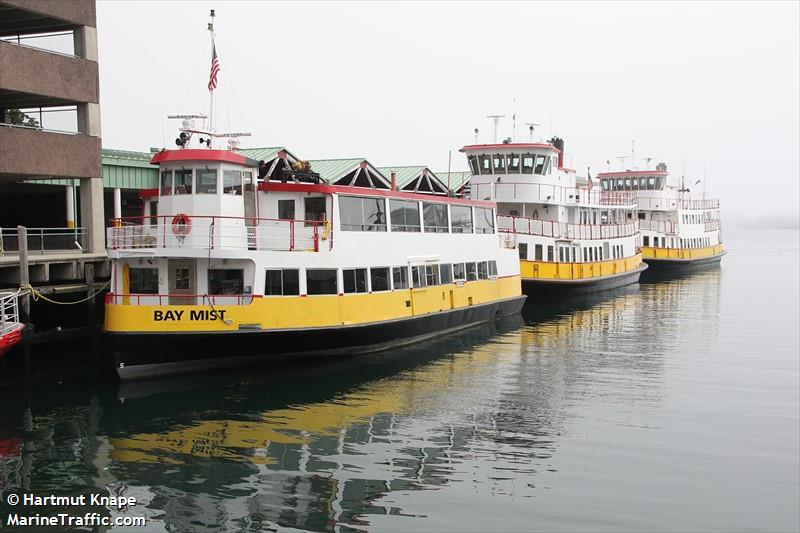 'BAY MIST'