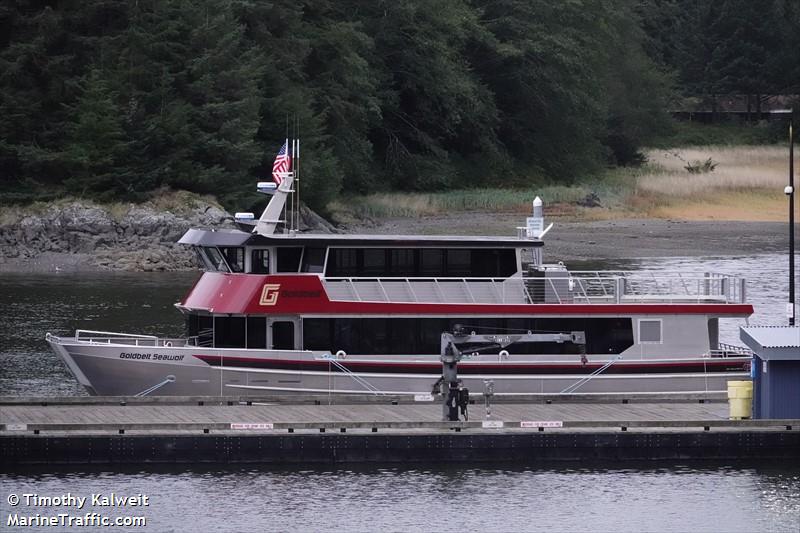 'GOLDBELT SEAWOLF'