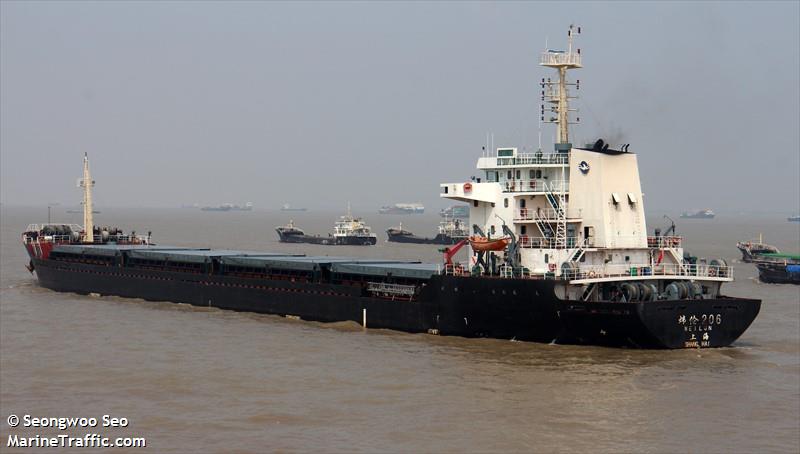 WEI LUN 206