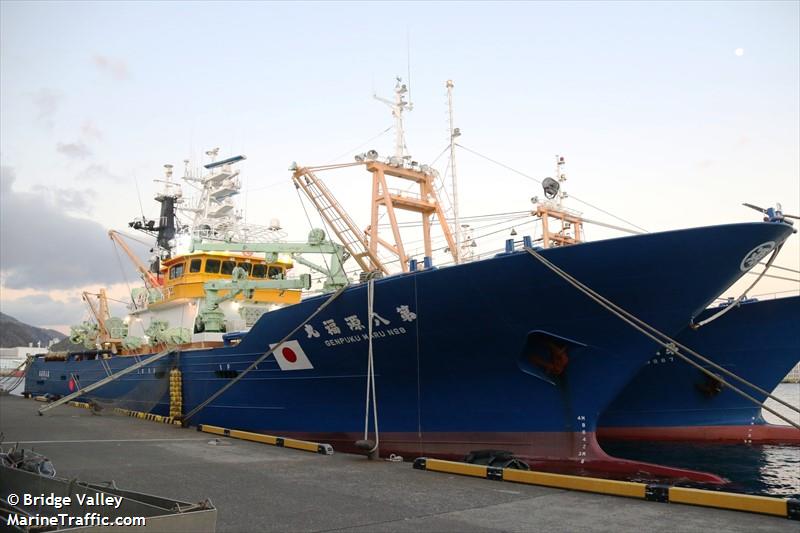 GENPUKU MARU NO. 8