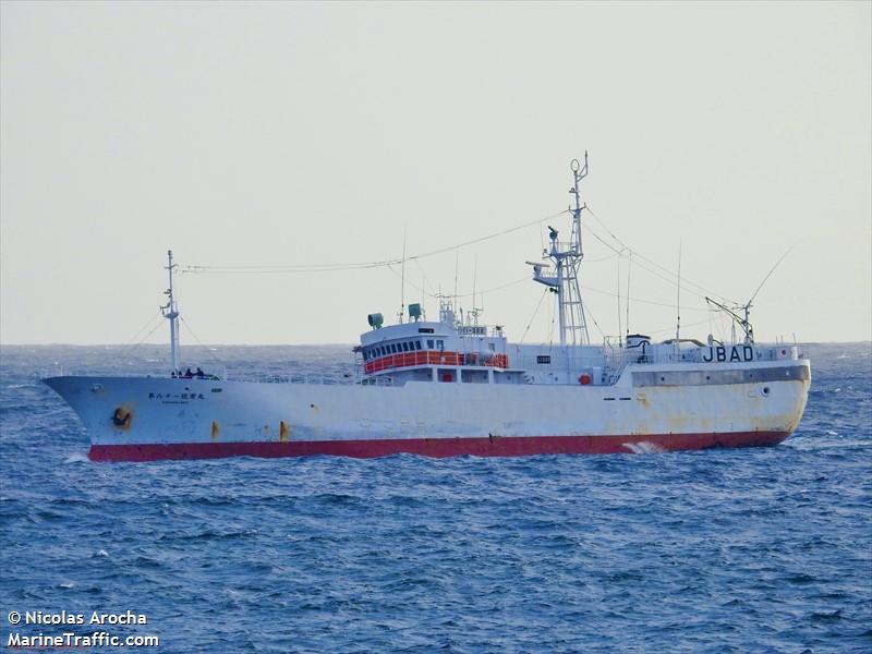 'KINEIMARU NO81'