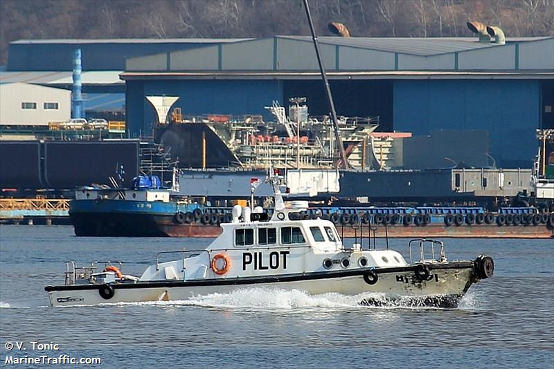 'PILOT BIDULGI'