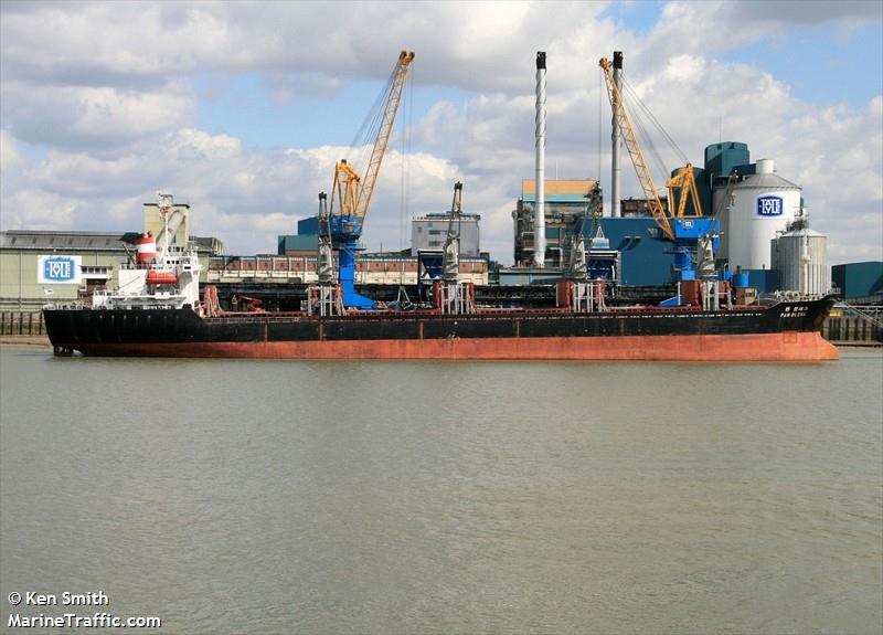 DOLPHIN WIND
