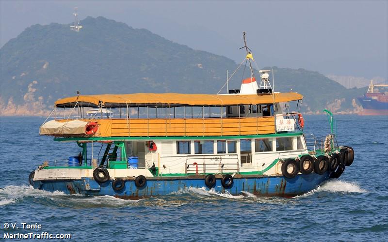 TSUI WAH X