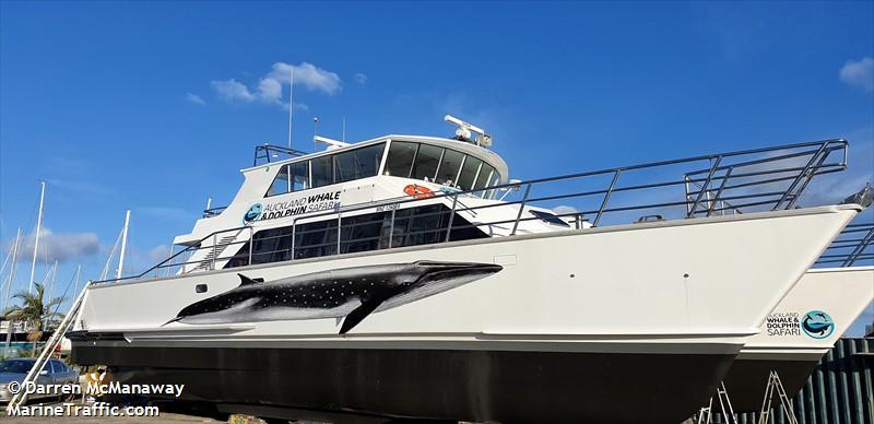 DOLPHIN EXPLORER